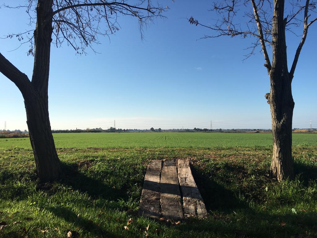 Agriturismo Casal Taccone Apartman Tarquinia Kültér fotó