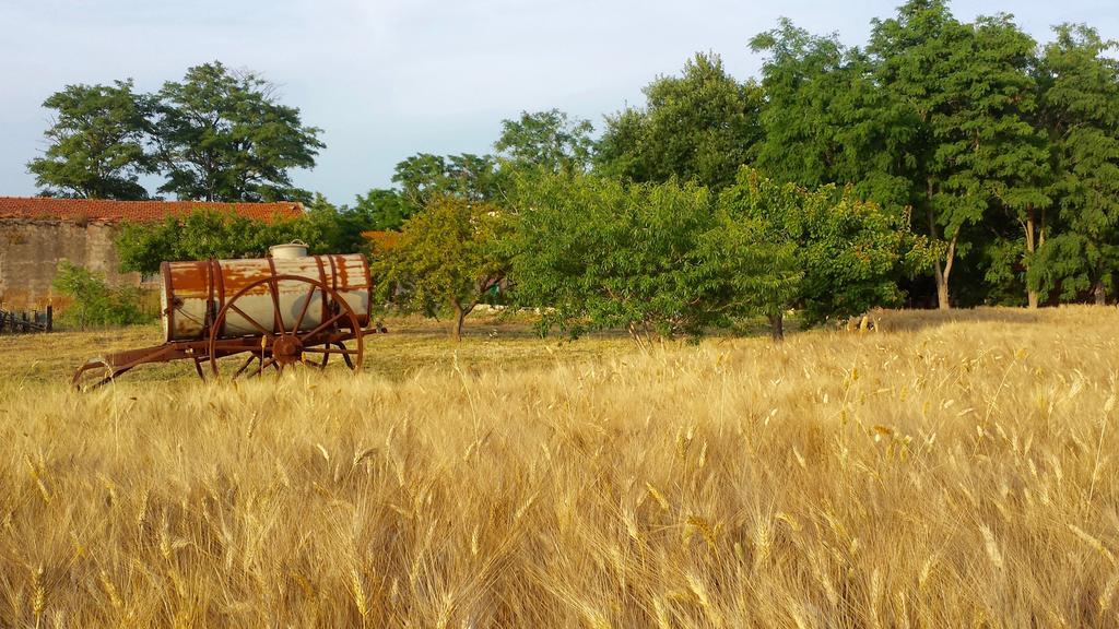 Agriturismo Casal Taccone Apartman Tarquinia Kültér fotó